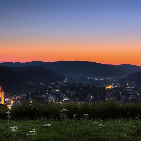 Drei Tannen - Wohnung 11 - Apartmenthaus, Titisee, Feldberg Ngoại thất bức ảnh