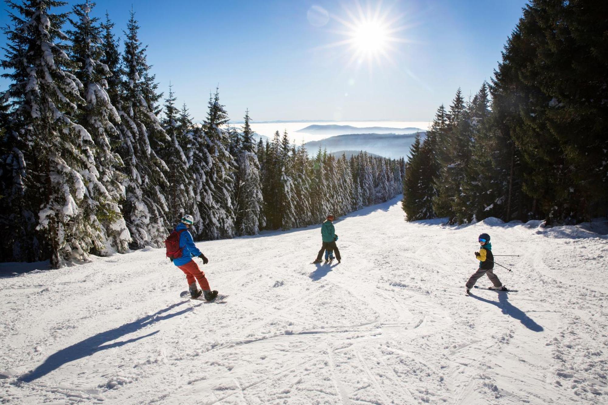 Drei Tannen - Wohnung 11 - Apartmenthaus, Titisee, Feldberg Ngoại thất bức ảnh