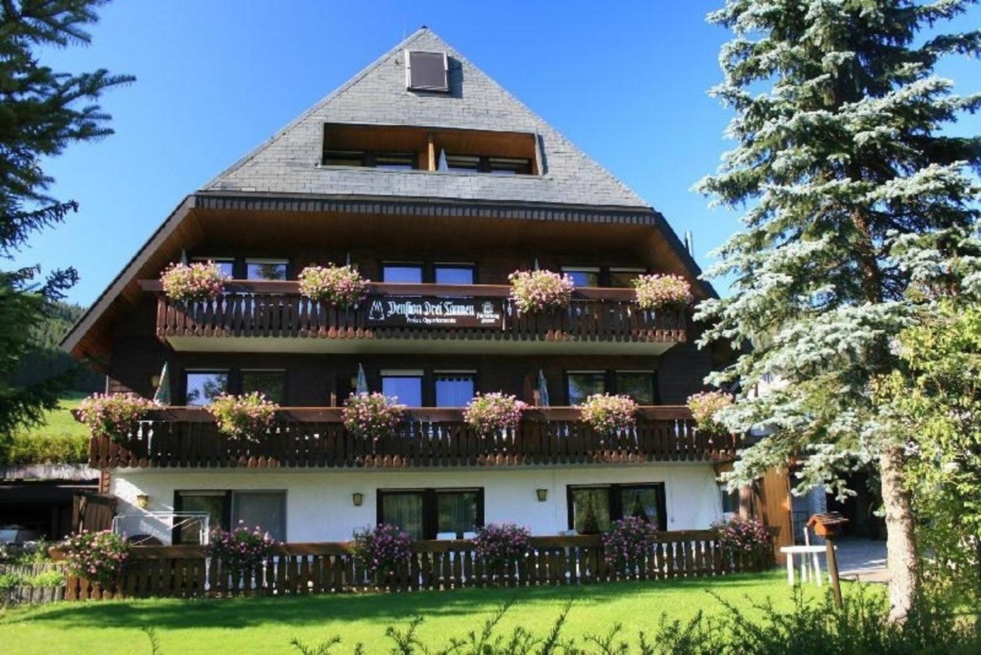 Drei Tannen - Wohnung 11 - Apartmenthaus, Titisee, Feldberg Ngoại thất bức ảnh