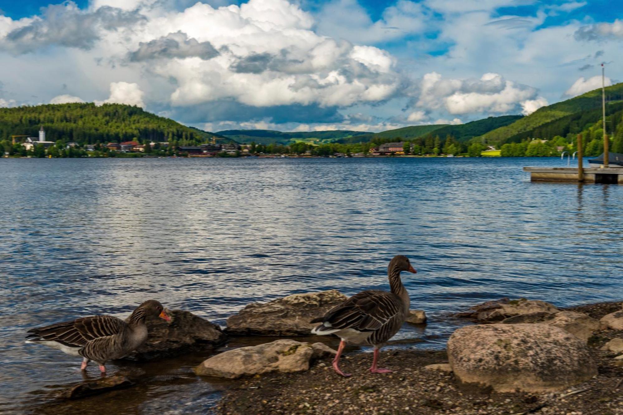Drei Tannen - Wohnung 11 - Apartmenthaus, Titisee, Feldberg Ngoại thất bức ảnh